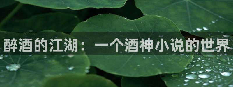 包子漫画免费漫画：醉酒的江湖：一个酒神小说的世界