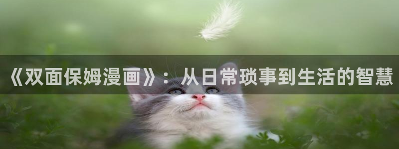 恶人救一下包子漫画免费观看：《双面保姆漫画》：从日常琐事到生活的智慧