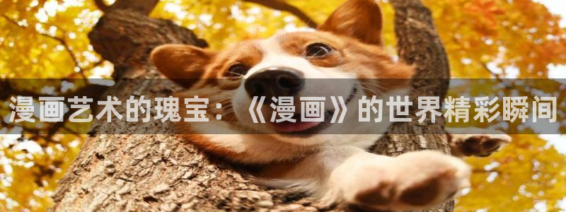 包子漫画免费漫：漫画艺术的瑰宝：《漫画》的世界精彩瞬间