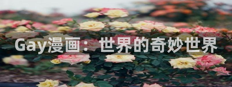 打开包子漫画：Gay漫画：世界的奇妙世界